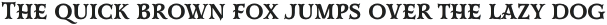 Mr Darcy Bold otf (700)
