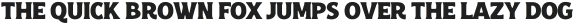 Croust Serif-Ink otf (400)