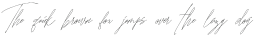 Songstar Italic otf (400)