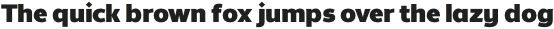 Without Alt Sans Ultrablack otf (900)