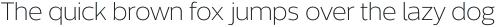 Without Sans Light otf (300)
