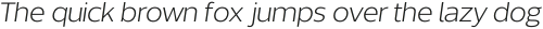 Without Sans Book Italic otf (400)
