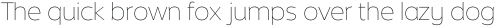 Without Alt Sans Thin otf (100)