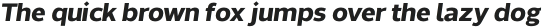 Without Sans Bold Italic otf (700)