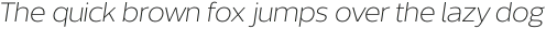 Without Sans Light Italic otf (300)