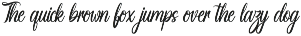 Paradise | Handwriting Calligraphy preview