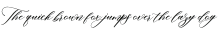 Correa Script Regular otf (400)