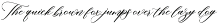 Correa Script-UPDATE preview