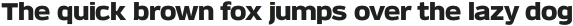 Verbatim Lite Black otf (900)