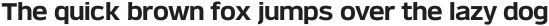 Verbatim Lite otf (700)