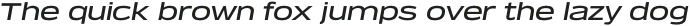 Verbatim Lite Extended Medium Oblique otf (500)