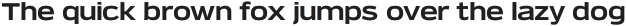 Verbatim Lite Wide Bold otf (700)