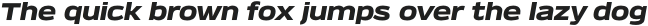 Verbatim Lite Wide Black Oblique otf (900)