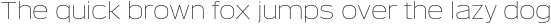 Verbatim Lite Wide Thin otf (100)