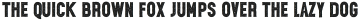 Liongate rough otf (700)