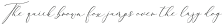 Rachela Italic Regular otf (400)