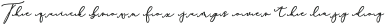 Rachela Script Alternatif 5 bol Regular otf (700)