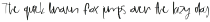 Micca Regular ttf (400)