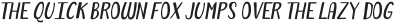 Forest Puyehue Italic otf (400)