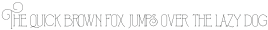 Floatwod Thin otf (100)