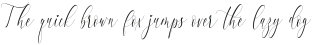 Charlotte Calligraphy ttf (400)
