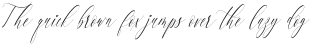 Charlotte Calligraphy Slant ttf (400)