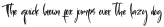 Sister_Pamella_script Script otf (400)
