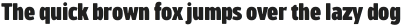 Bosphorus 20 Compressed 26 Black Italic otf (900)