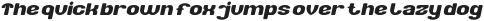 Chaos Theory Italic otf (400)
