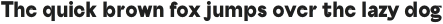 Serious Sans Bold otf (700)
