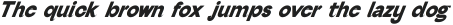 Serious Sans Bold Italic ttf (700)