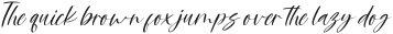 Rusliny Script Italic otf (400)