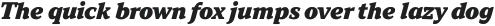 TT Norms Pro Serif Black Italic otf (900)