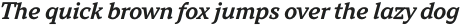 TT Norms Pro Serif DemiBold Italic otf (600)