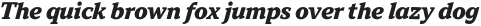 TT Norms Pro Serif ExtraBold Italic otf (700)