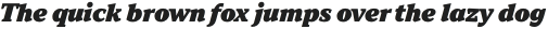 TT Norms Pro Serif ExtraBlack Italic otf (900)