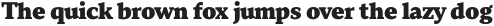 TT Norms Pro Serif Black otf (900)