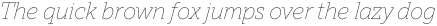 TT Norms Pro Serif Thin Italic otf (100)