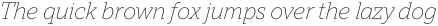 TT Norms Pro Serif ExtraLight Italic otf (200)