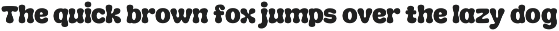 Chunk Plump - Groovy Chunky Font preview