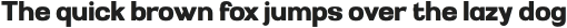 THEBOKRUN-Regular otf (400)