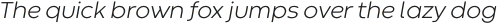 Codec Warm Light Italic otf (300)