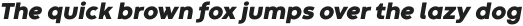 Codec Warm Heavy Italic otf (800)