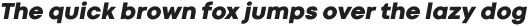 Codec Cold Heavy Italic otf (800)