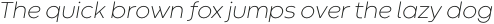 Codec Warm Extra Light Italic otf (200)