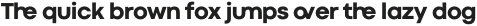 Codec Cold Logo otf (400)