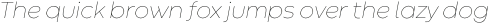 Codec Warm Thin Italic otf (100)