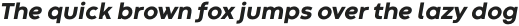 Codec Warm Extra Bold Italic otf (700)