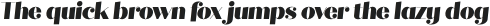 Quiche Fine Black Italic otf (900)