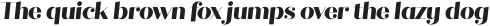 Quiche Fine ExtraBold Italic otf (700)